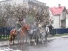 11listopada_2009_15