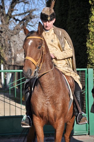 11 Listopada 2011