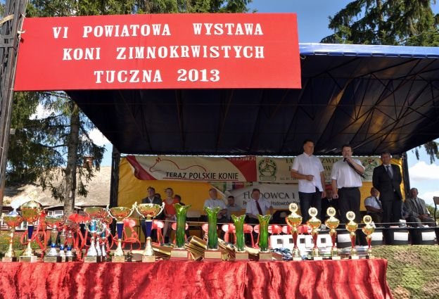 Wystawa koni