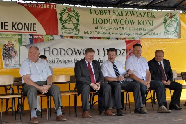 Wystawa koni