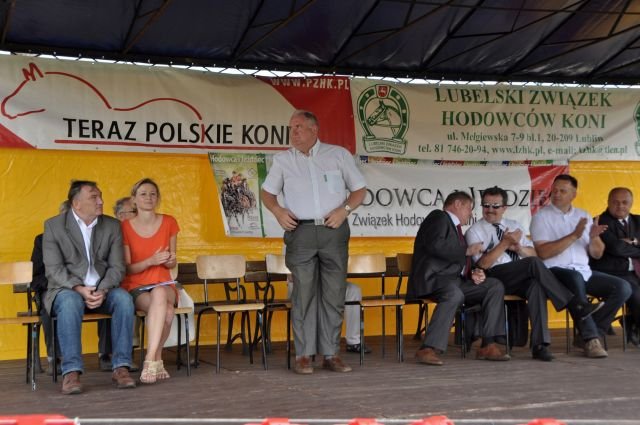 Wystawa koni
