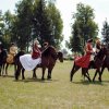 Wystawa koni