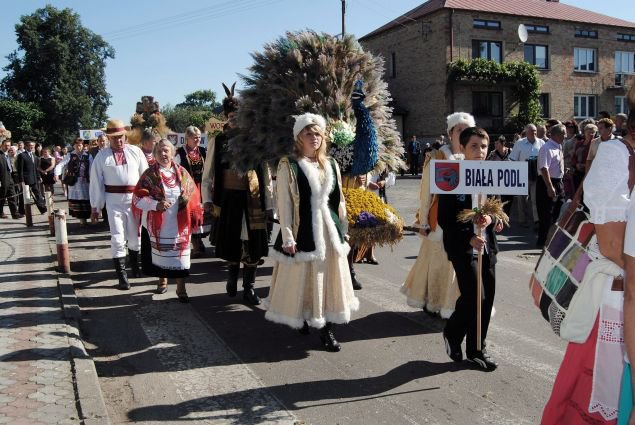 Dożynki 2013