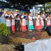 Dożynki 2013