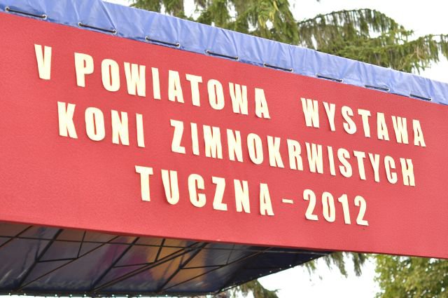 Pokaz koni