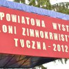 Pokaz koni