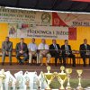Pokaz koni