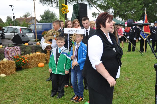 Dożynki Gminne 2014