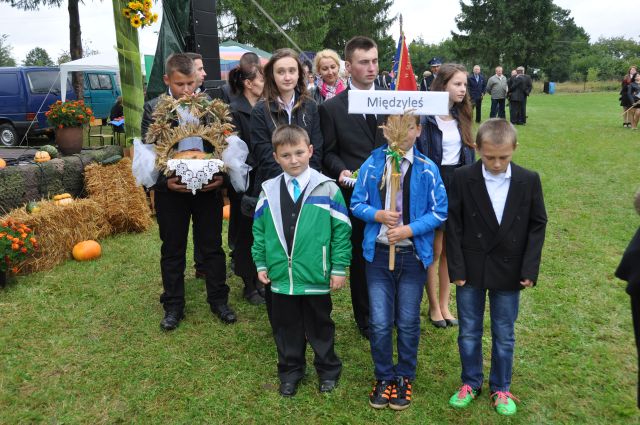 Dożynki Gminne 2014