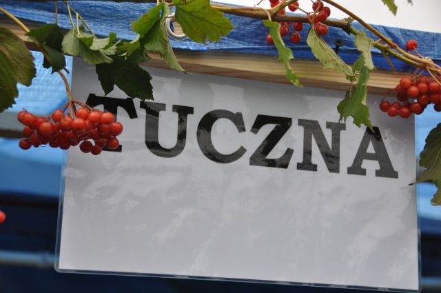 Dożynki Gminne 2014