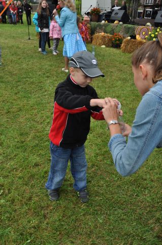 Dożynki Gminne 2014