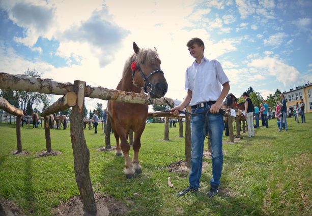 Powiatowa Wystawa Koni 2014