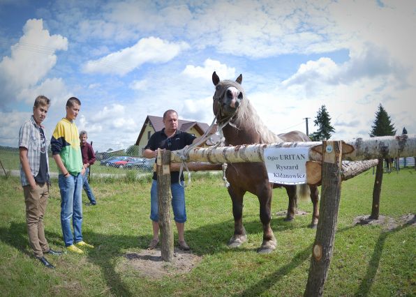 Powiatowa Wystawa Koni 2014