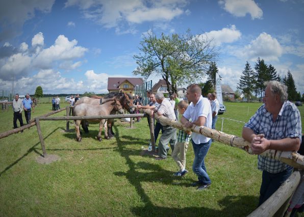 Powiatowa Wystawa Koni 2014