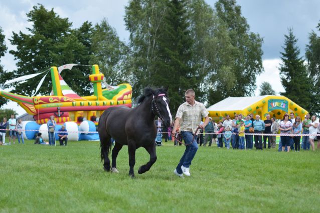 Powiatowa Wystawa Koni 2014