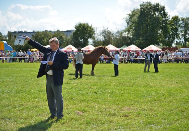 Powiatowa Wystawa Koni 2014