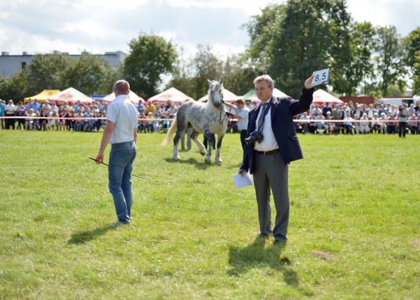 Powiatowa Wystawa Koni 2014