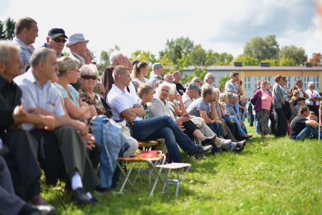 Powiatowa Wystawa Koni 2014