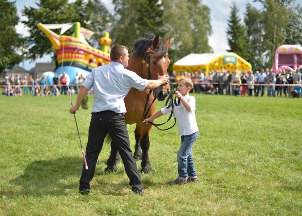 Powiatowa Wystawa Koni 2014
