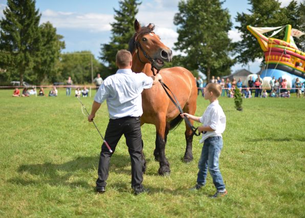 Powiatowa Wystawa Koni 2014