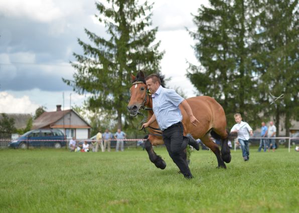 Powiatowa Wystawa Koni 2014