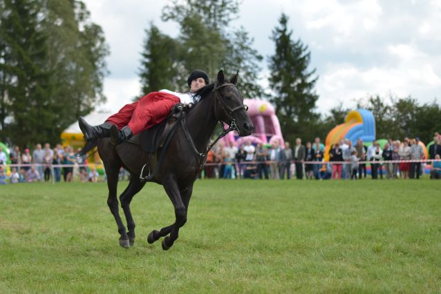 Powiatowa Wystawa Koni 2014