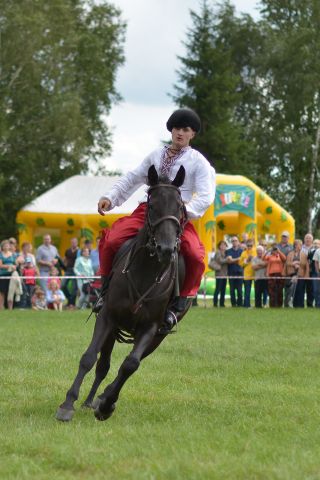 Powiatowa Wystawa Koni 2014