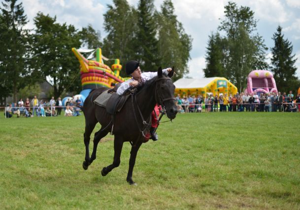 Powiatowa Wystawa Koni 2014
