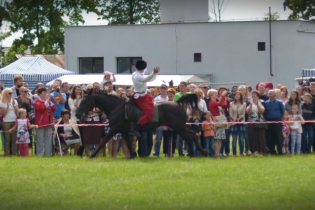 Powiatowa Wystawa Koni 2014