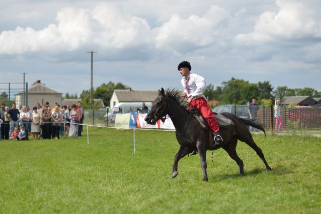 Powiatowa Wystawa Koni 2014