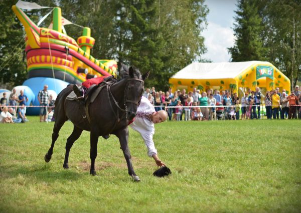 Powiatowa Wystawa Koni 2014