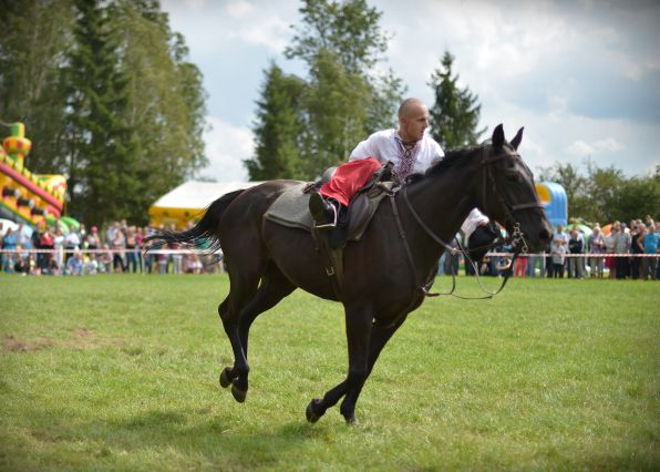 Powiatowa Wystawa Koni 2014