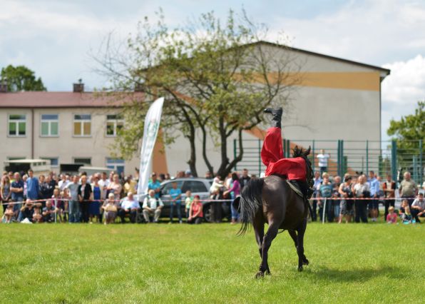 Powiatowa Wystawa Koni 2014