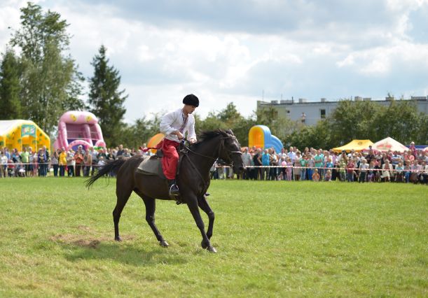 Powiatowa Wystawa Koni 2014