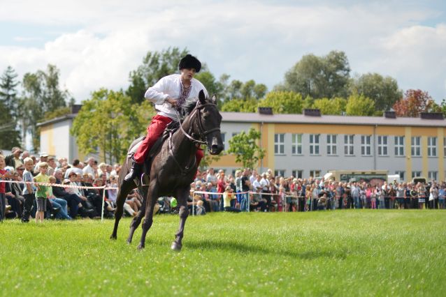 Powiatowa Wystawa Koni 2014