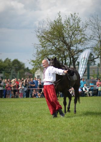 Powiatowa Wystawa Koni 2014