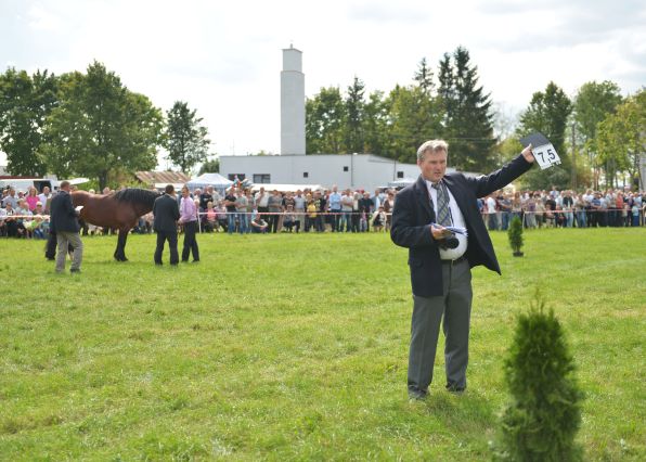 Powiatowa Wystawa Koni 2014