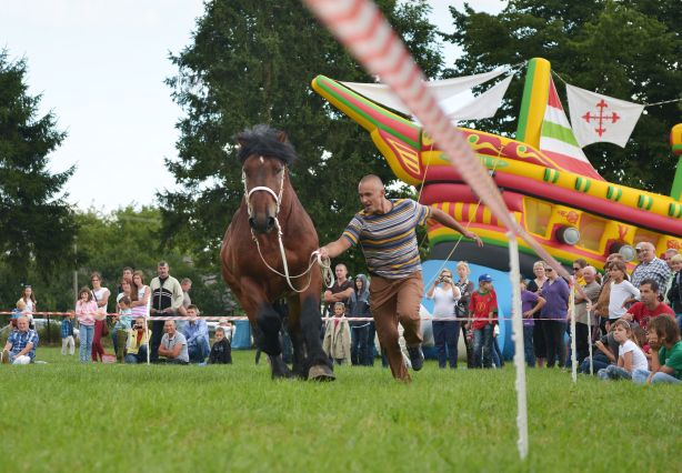 Powiatowa Wystawa Koni 2014