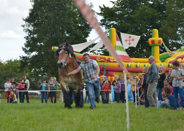 Powiatowa Wystawa Koni 2014