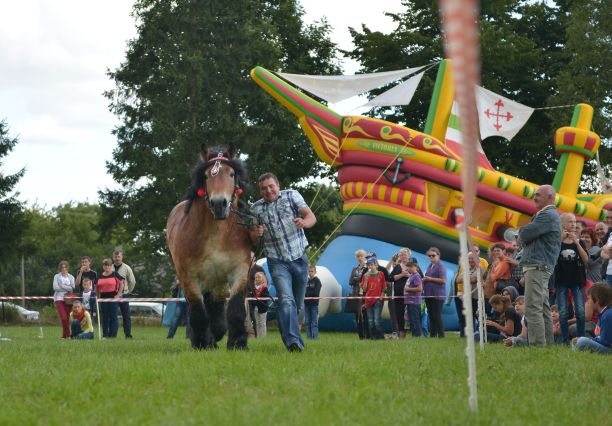 Powiatowa Wystawa Koni 2014