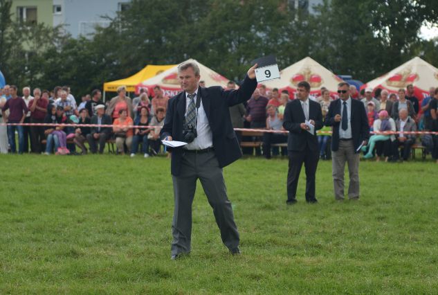 Powiatowa Wystawa Koni 2014