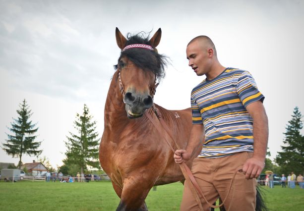 Powiatowa Wystawa Koni 2014