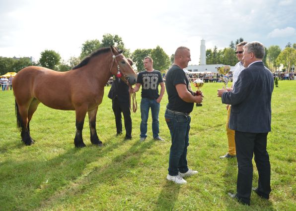 Powiatowa Wystawa Koni 2014