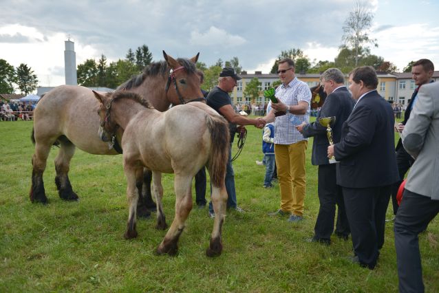 Powiatowa Wystawa Koni 2014
