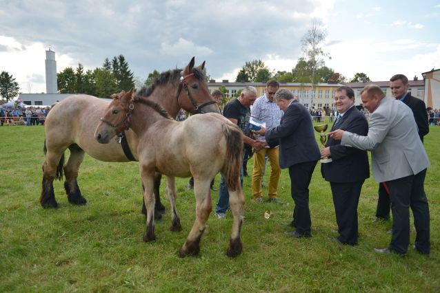 Powiatowa Wystawa Koni 2014