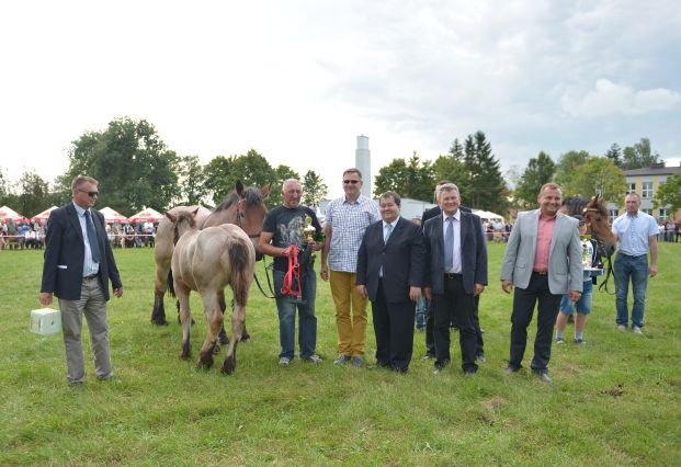 Powiatowa Wystawa Koni 2014
