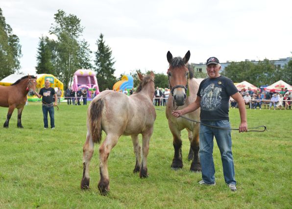 Powiatowa Wystawa Koni 2014