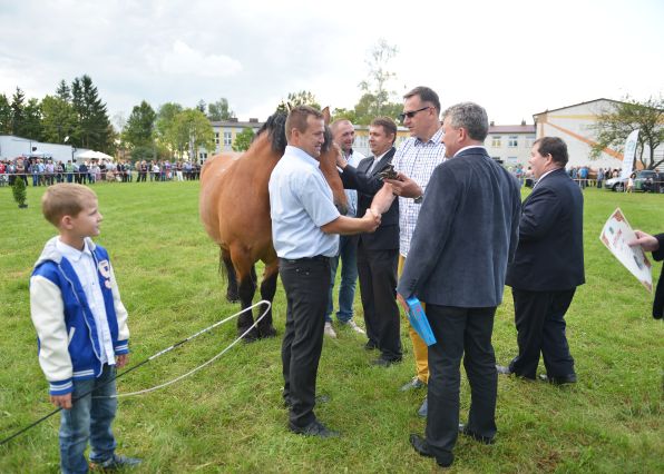Powiatowa Wystawa Koni 2014