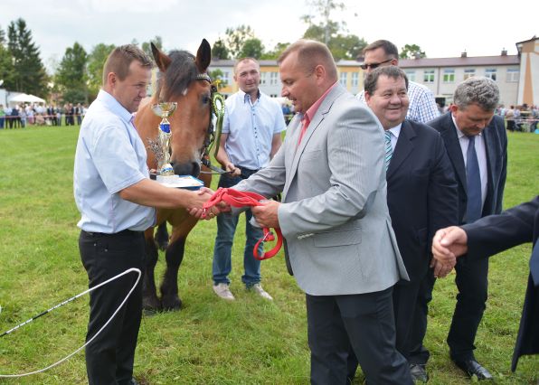 Powiatowa Wystawa Koni 2014