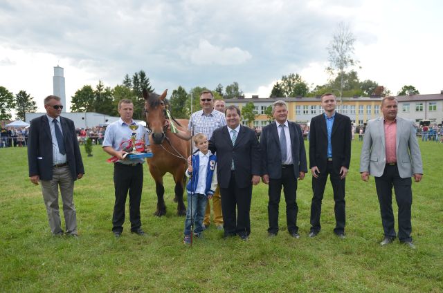 Powiatowa Wystawa Koni 2014
